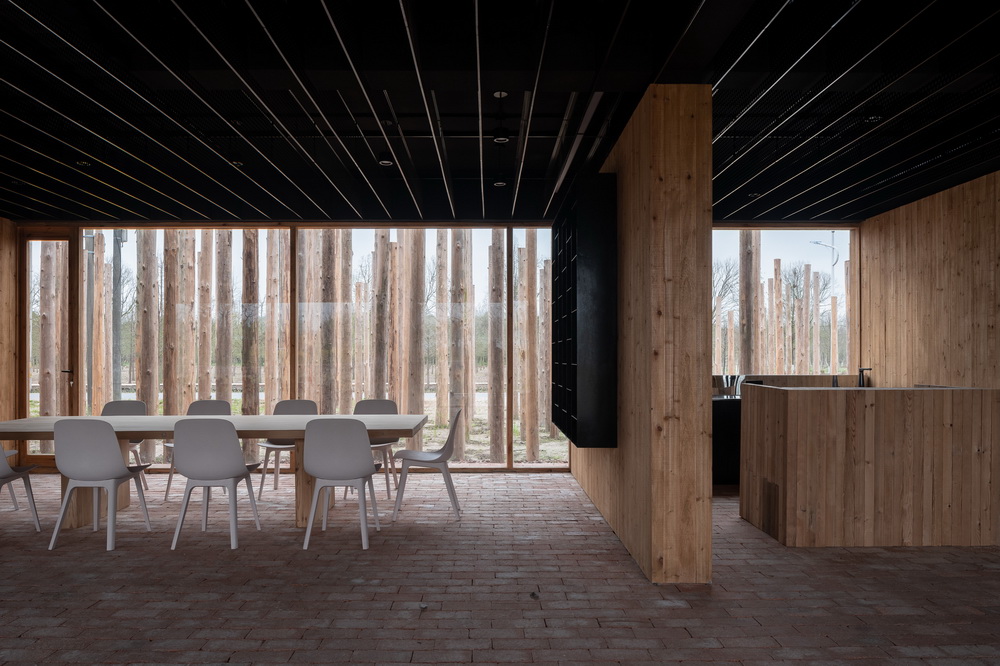 BIM建筑|树林里的图书室：自然向建筑的转译/空间里