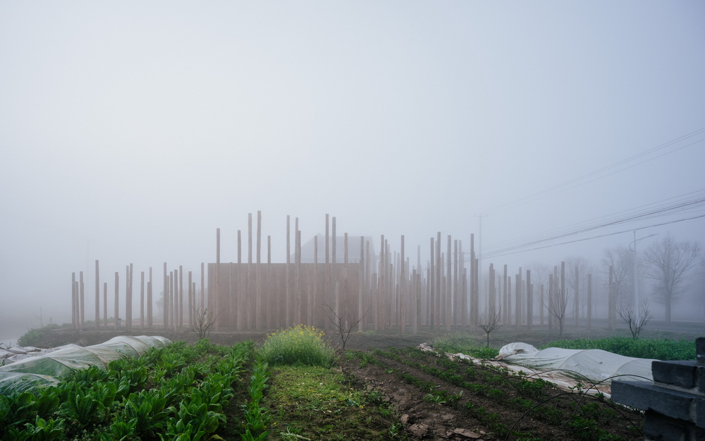 BIM建筑|树林里的图书室：自然向建筑的转译/空间里