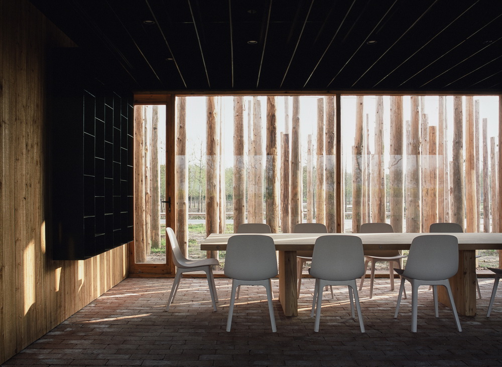 BIM建筑|树林里的图书室：自然向建筑的转译/空间里