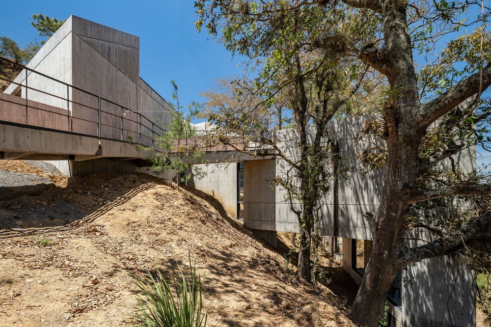 BIM建筑|体块的协奏曲：墨西哥蚕园/LAMZ Arquitectura