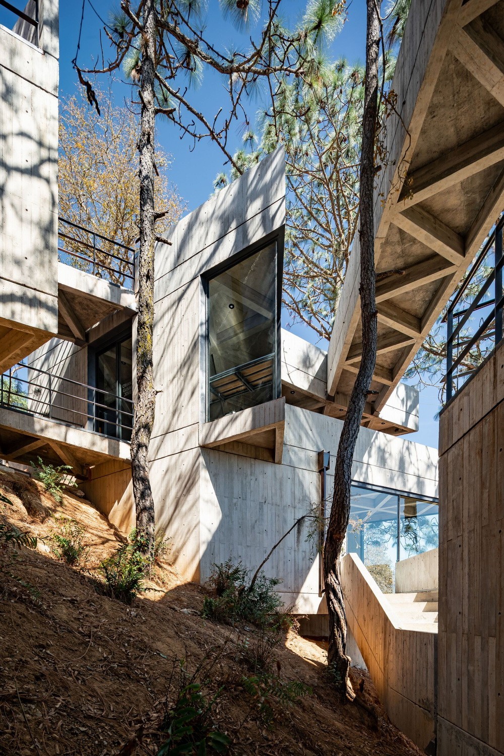 BIM建筑|体块的协奏曲：墨西哥蚕园/LAMZ Arquitectura