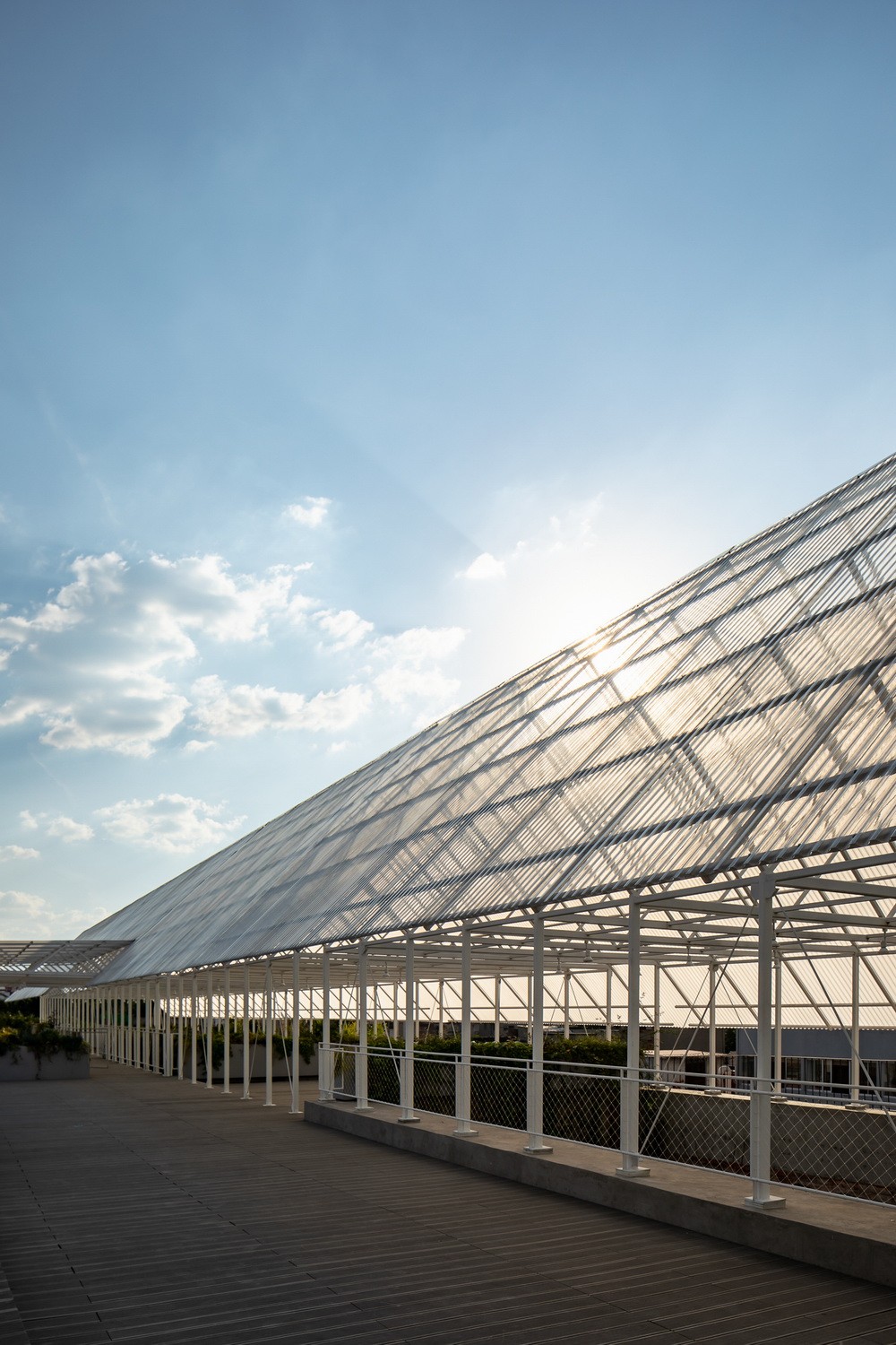 BIM建筑|建筑保护的新思路--给旧结构加个顶 / PRODUCTORA 事务所