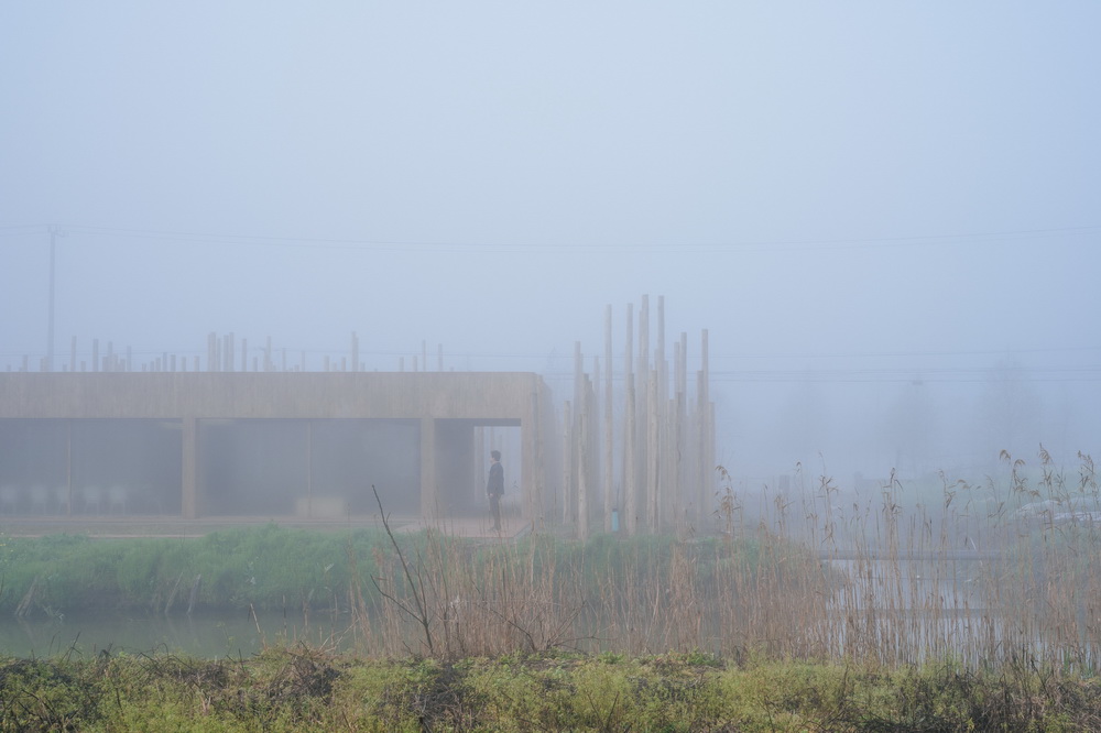 BIM建筑|树林里的图书室：自然向建筑的转译/空间里