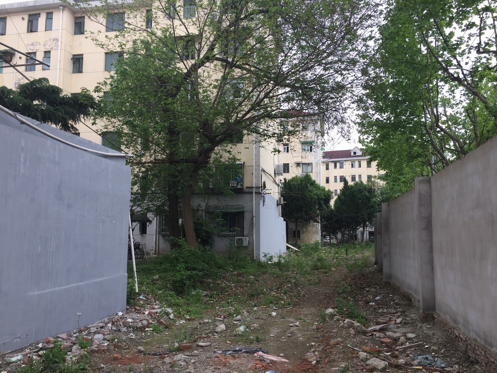 BIM建筑|居民区旁的复廊围墙/梓耘斋建筑