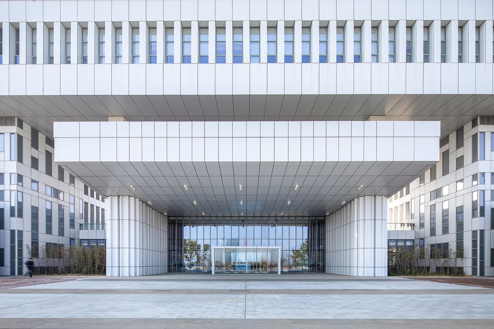 BIM建筑|肥东县政务服务中心/上海华都建筑（HDD）