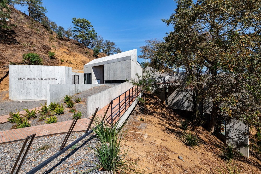 BIM建筑|体块的协奏曲：墨西哥蚕园/LAMZ Arquitectura