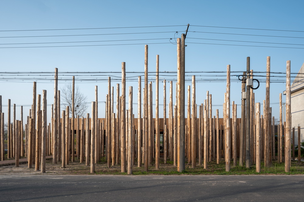 BIM建筑|树林里的图书室：自然向建筑的转译/空间里