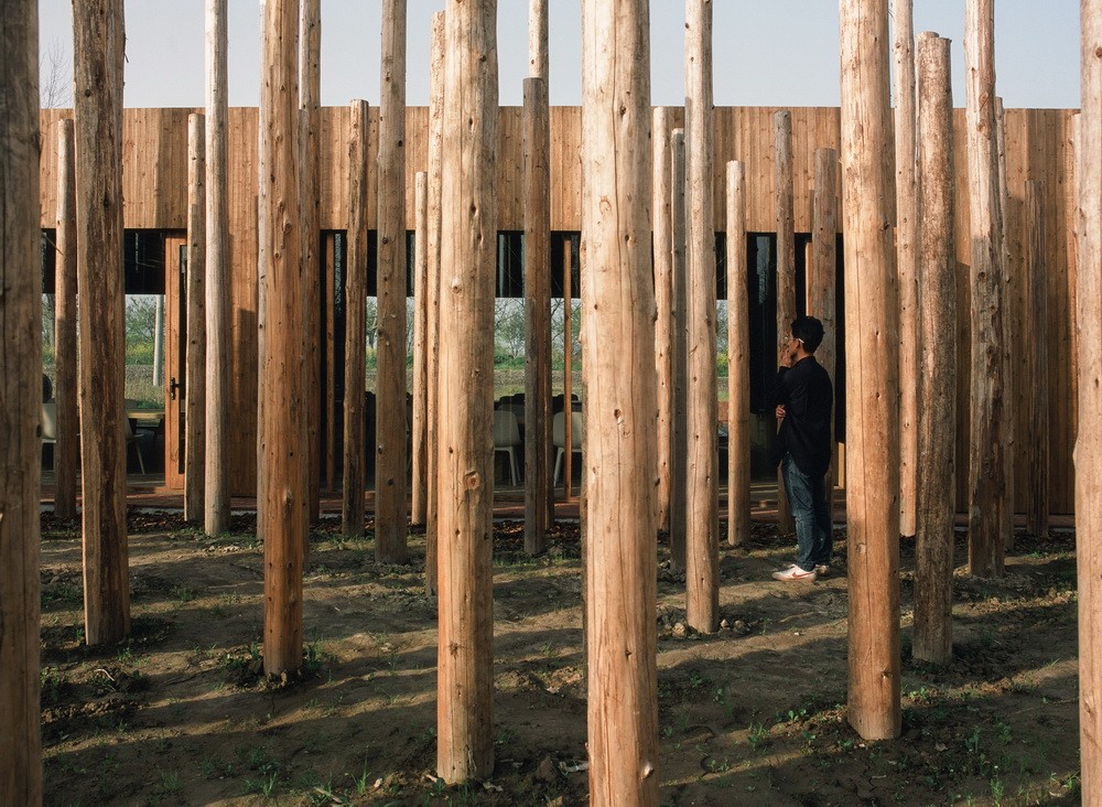 BIM建筑|树林里的图书室：自然向建筑的转译/空间里