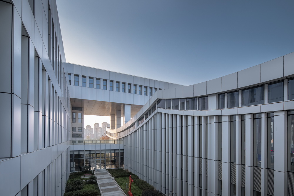 BIM建筑|肥东县政务服务中心/上海华都建筑（HDD）