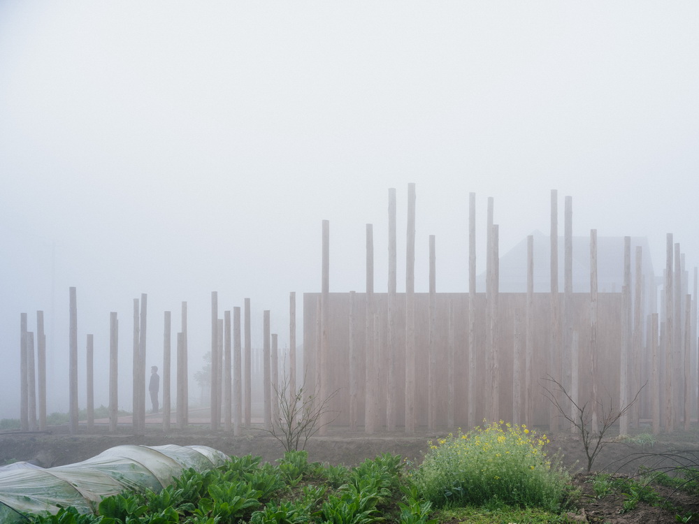 BIM建筑|树林里的图书室：自然向建筑的转译/空间里