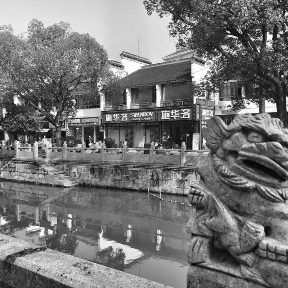 城市更新最新力作丨上海嘉定安亭老街：三种身份的介入