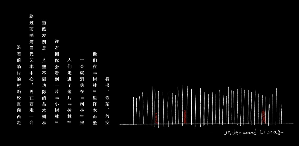 BIM建筑|树林里的图书室：自然向建筑的转译/空间里