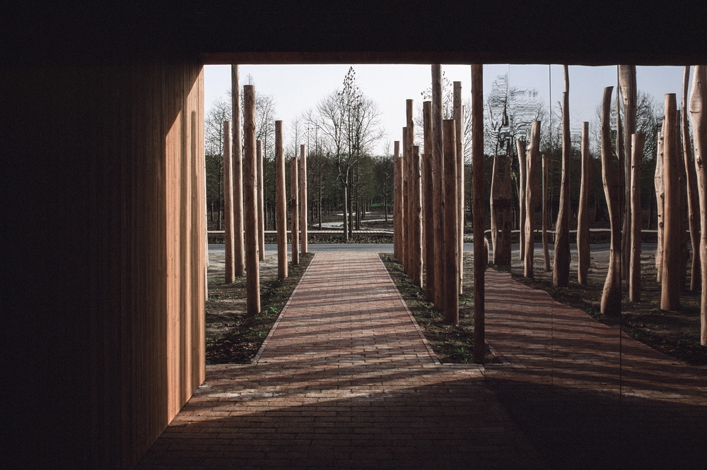 BIM建筑|树林里的图书室：自然向建筑的转译/空间里