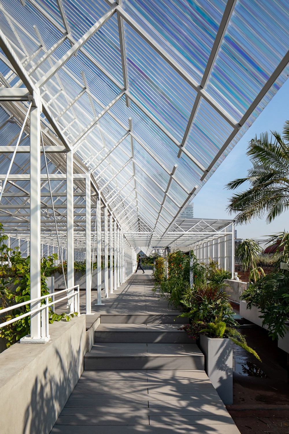 BIM建筑|建筑保护的新思路--给旧结构加个顶 / PRODUCTORA 事务所