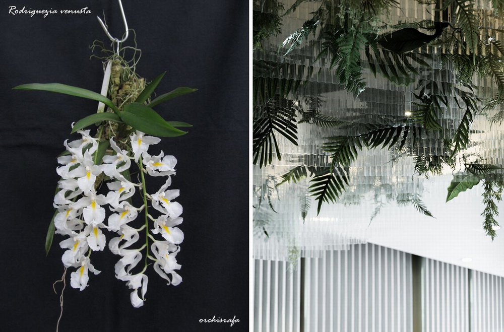 BIM建筑|使人宛如置身于清迈的SPA空间/灯灯灯凳创意公司