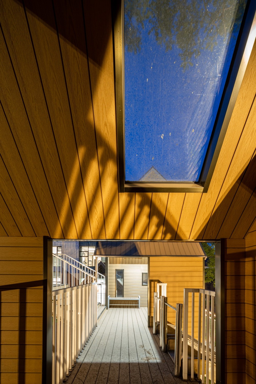 BIM建筑|天津好朋友森林幼儿园/迪卡建筑