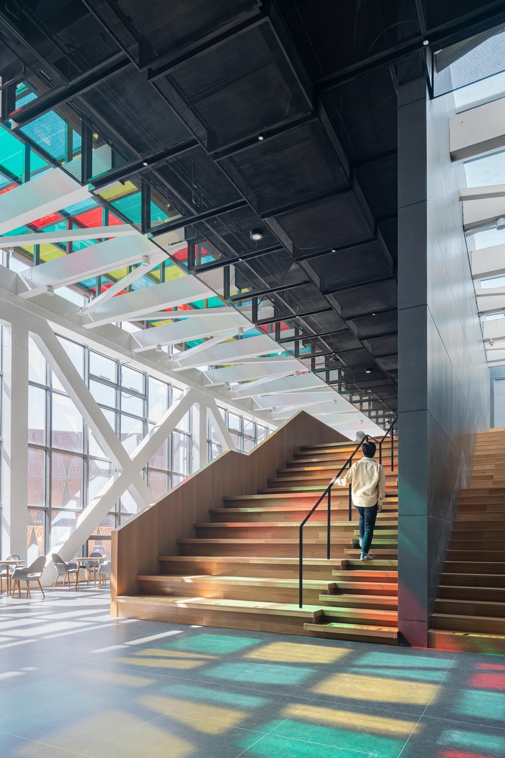 BIM建筑|漂浮于湿地之上的候鸟之巢——中国怀来湿地博物馆/天友设计