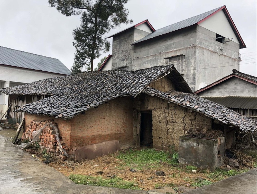 BIM建筑|成都金堂圆觉寺村村民中心 / 在行建筑
