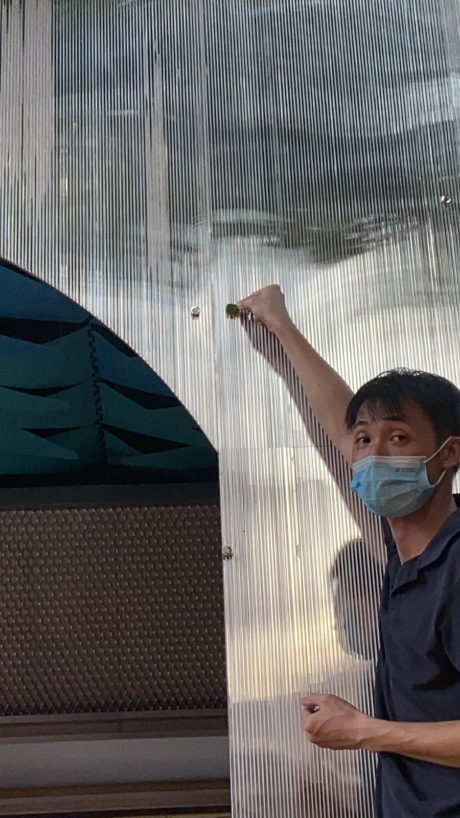 BIM建筑|彩色，诗意的日常：广州东山肉菜市场改造/奥默默工作室