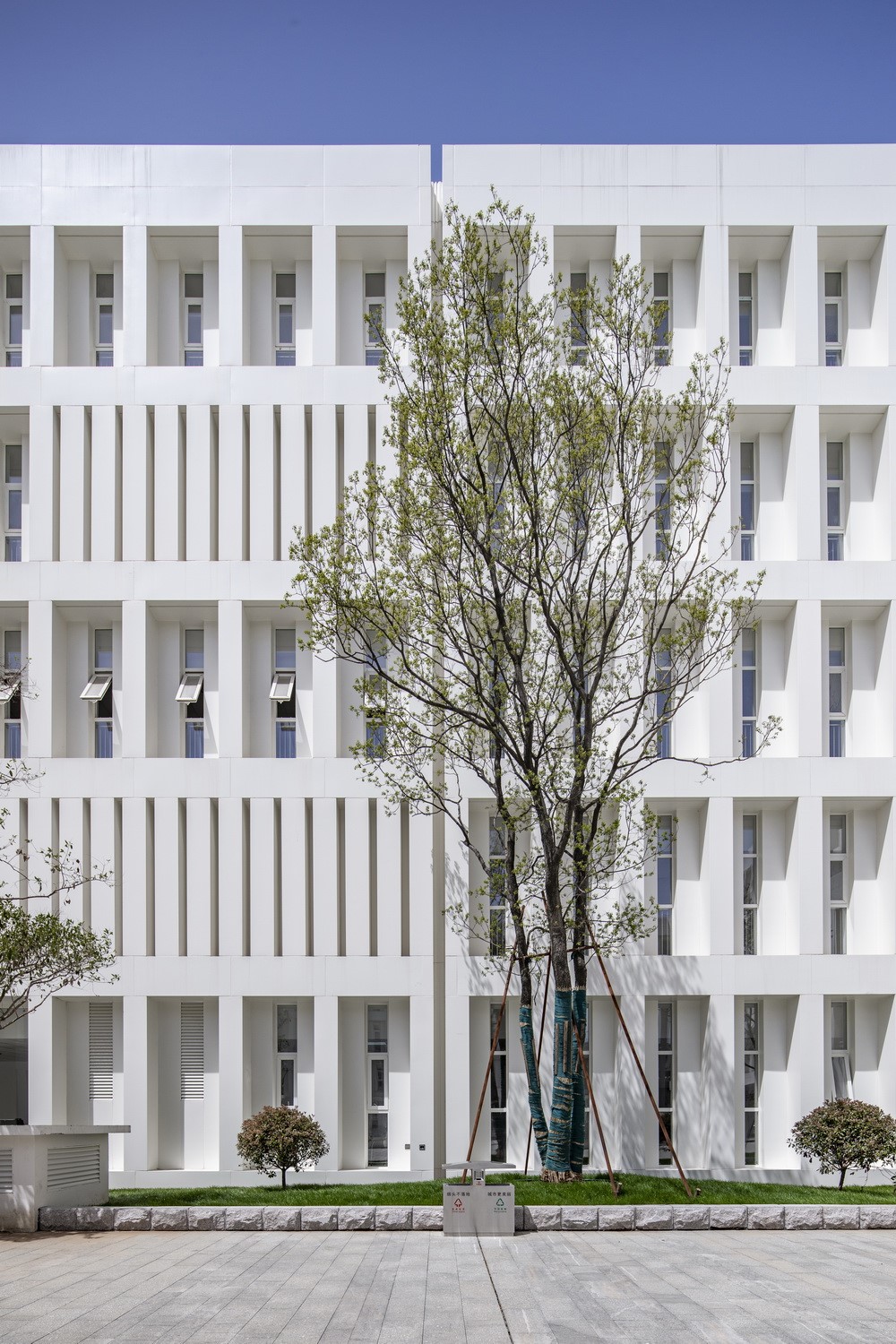 BIM建筑|沂南图书档案馆，山东 / 中央美术学院建筑7工作室（朴棫城市建筑设计工作室）