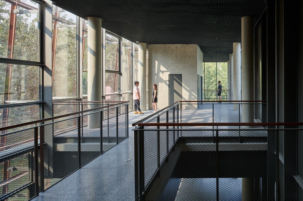 BIM建筑|南开大学海冰楼/直向建筑