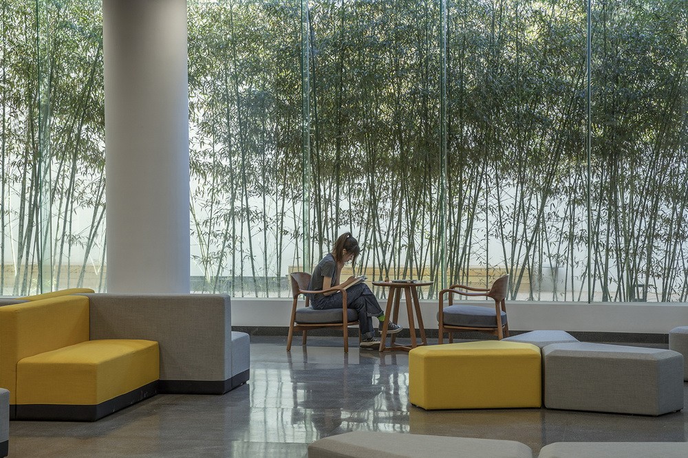 BIM建筑|中央美术学院燕郊校区图书馆改造 / 三文建筑 / 何崴工作室