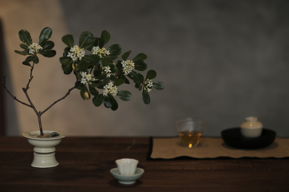 BIM建筑|在成都城中安放一片山林，是以不知春斋茶宿/ 时地建筑