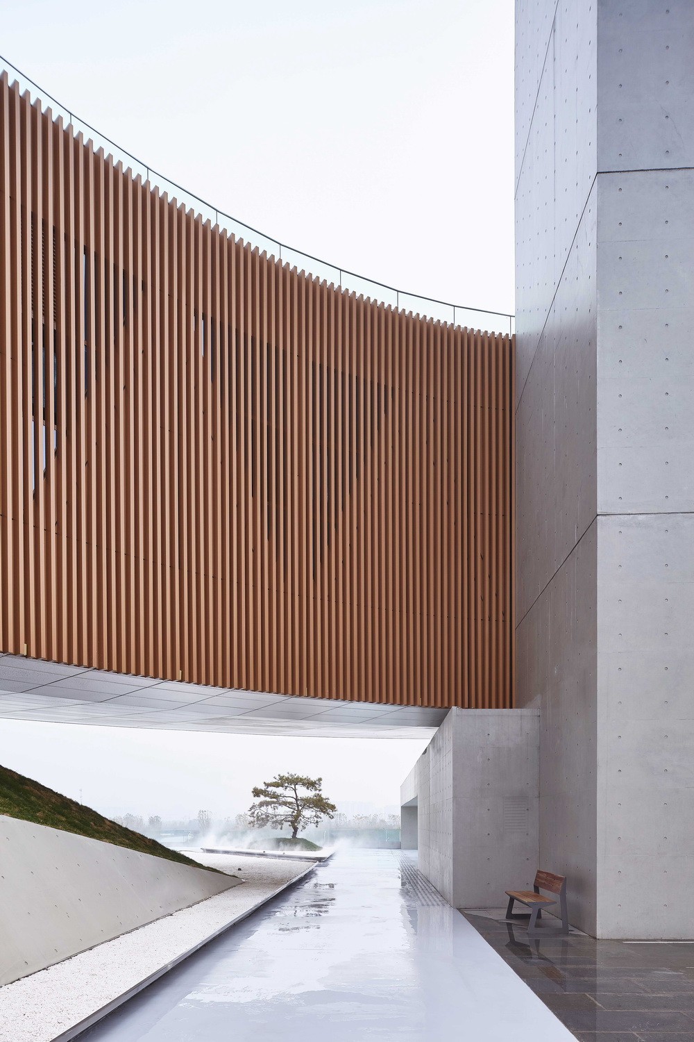 BIM建筑|郑东新区龙湖公共艺术中心/STUDIO A+