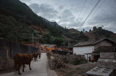 BIM建筑|永安扶贫乡村公共空间营造 / 同济大学建筑设计研究院-BIM建筑网