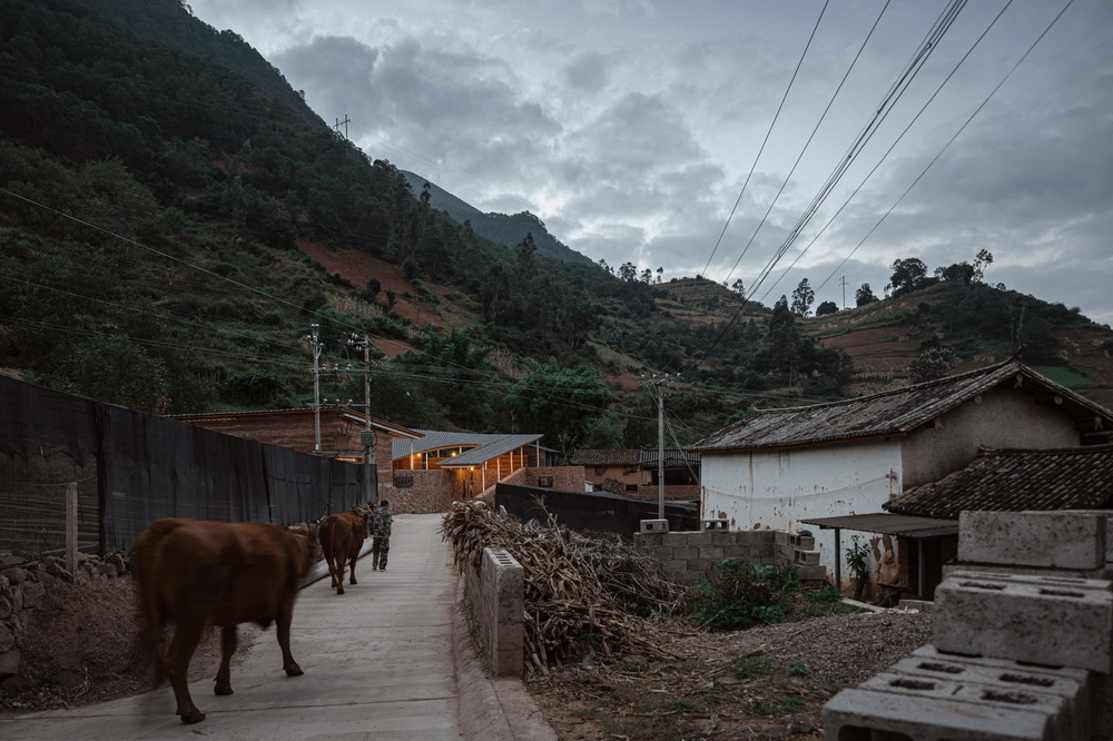 BIM建筑|永安扶贫乡村公共空间营造 / 同济大学建筑设计研究院