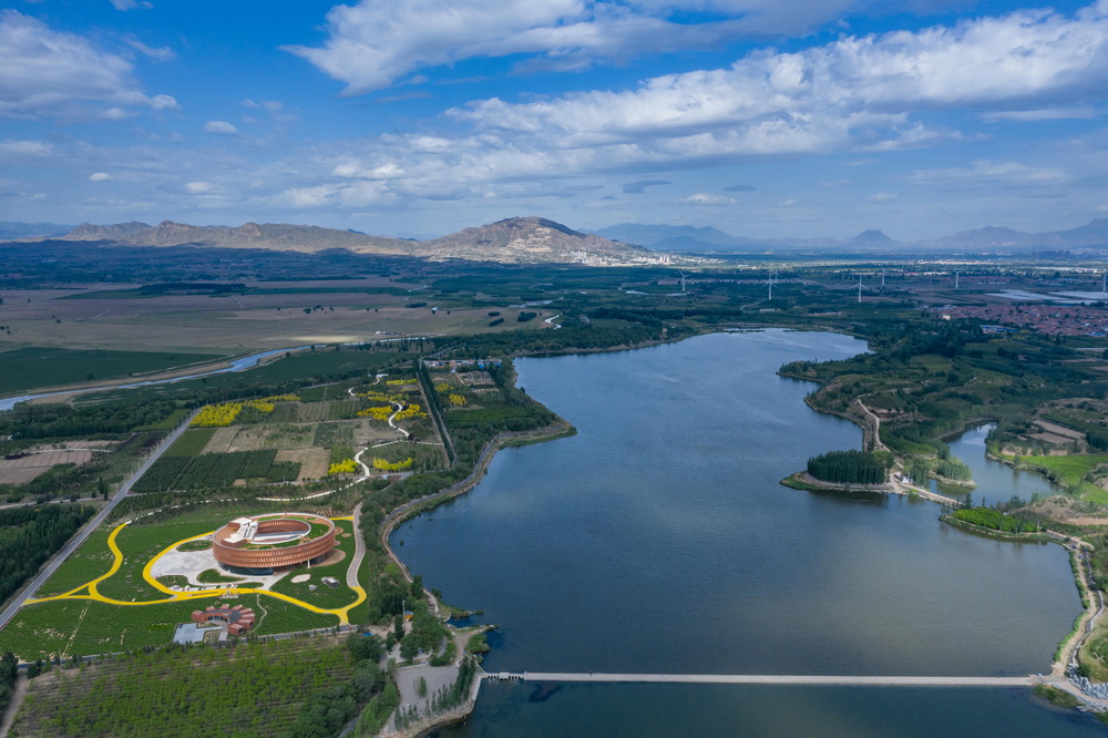BIM建筑|漂浮于湿地之上的候鸟之巢——中国怀来湿地博物馆/天友设计