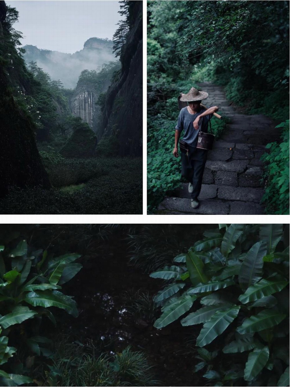 BIM建筑|在成都城中安放一片山林，是以不知春斋茶宿/ 时地建筑