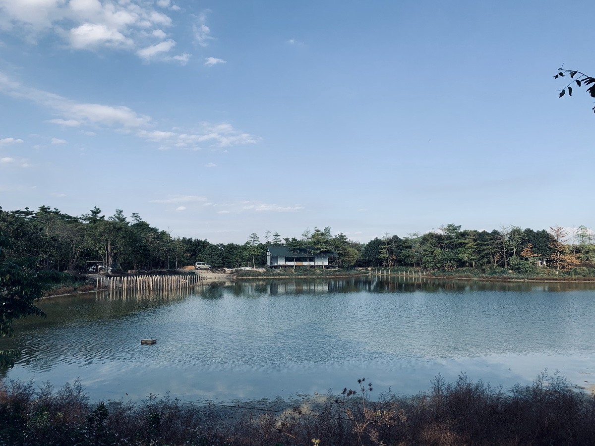 BIM建筑|湖间榭 / 半松园工作室