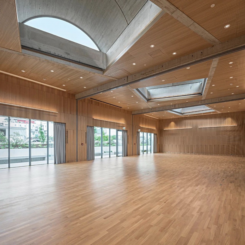 BIM建筑|奥地利罗仙姆酒店扩建/斯蒂文·霍尔事务所