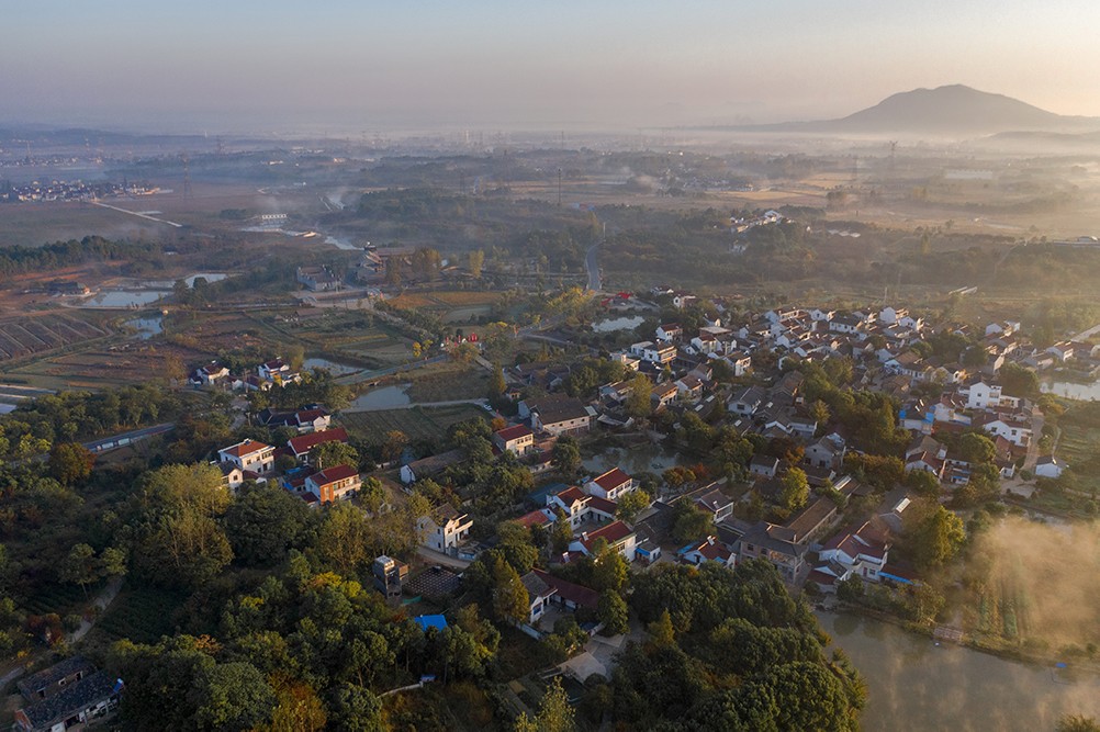 BIM建筑|李巷村村口公共空间再生/东大院 建筑技术与艺术（ATA）工作室