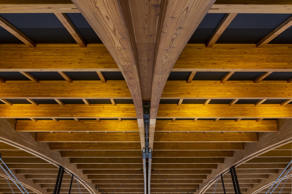 BIM建筑|【东京奥运会开幕】有明体操竞技场 / 日建设计 + Shimizu Corporation