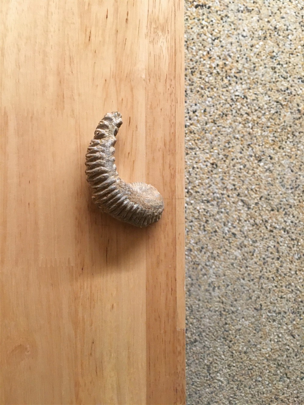 BIM建筑|手艺实验之家：100平米住宅改造里的“手艺与实验”/ 在造建筑