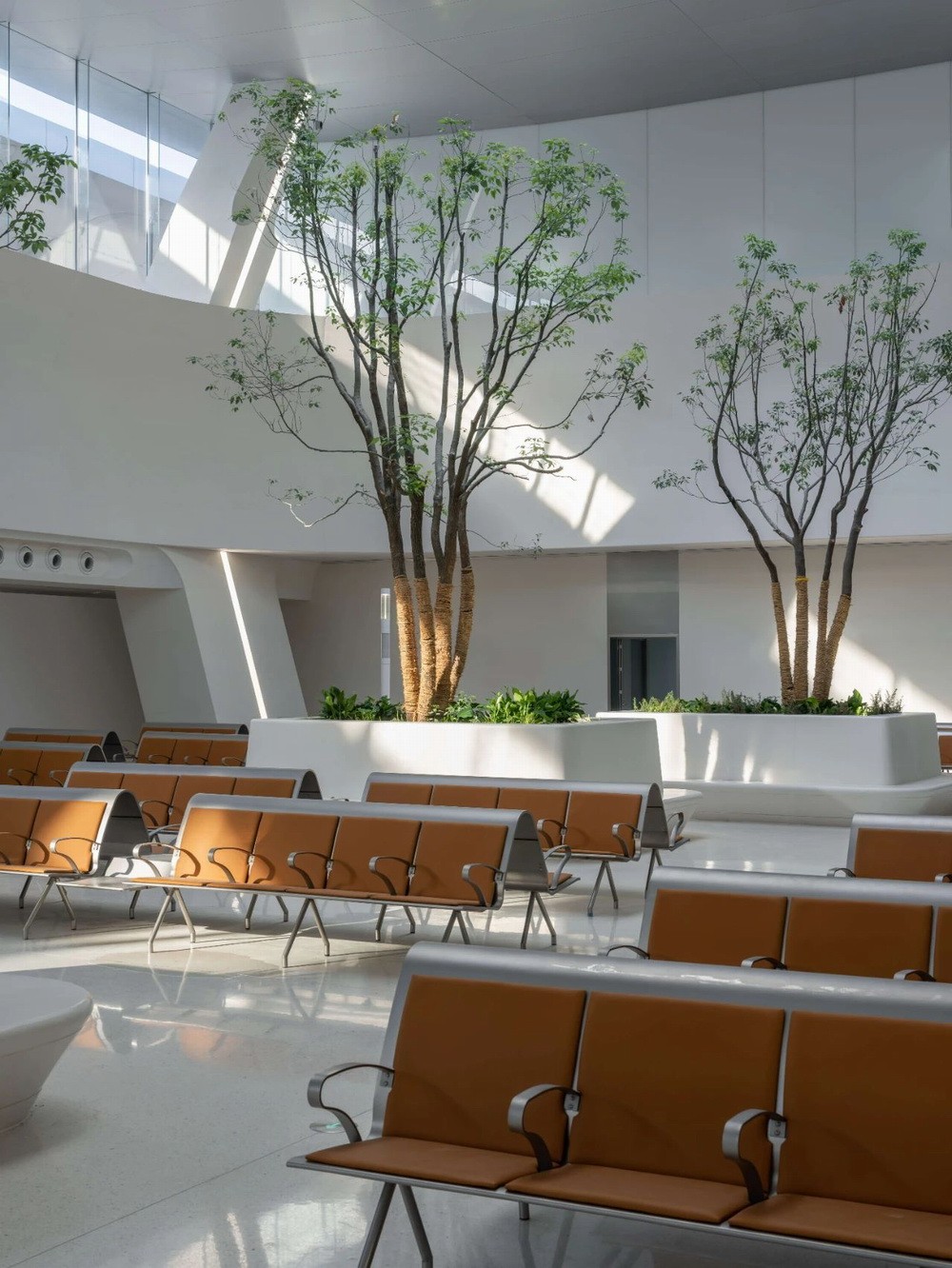 BIM建筑|“森林中的火车站”：嘉兴火车站启用通车/MAD