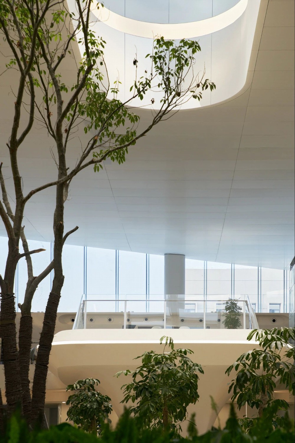 BIM建筑|“森林中的火车站”：嘉兴火车站启用通车/MAD