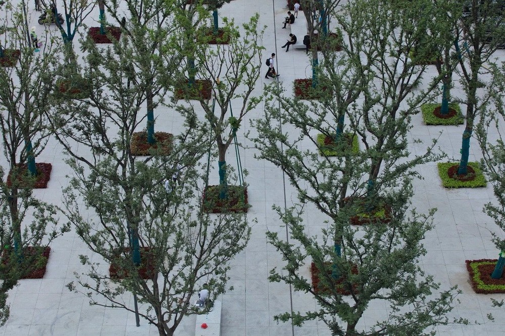 BIM建筑|“森林中的火车站”：嘉兴火车站启用通车/MAD