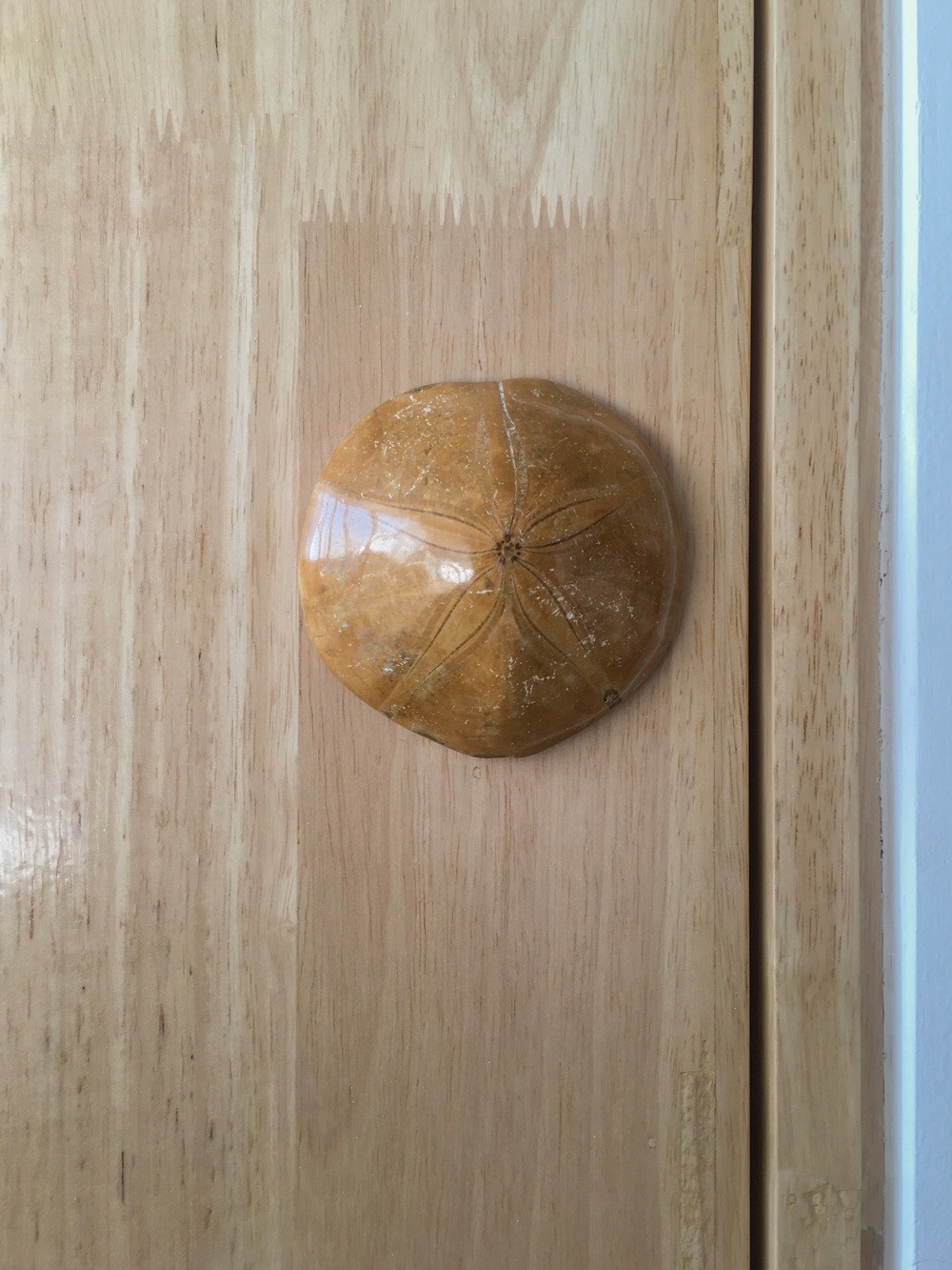 BIM建筑|手艺实验之家：100平米住宅改造里的“手艺与实验”/ 在造建筑