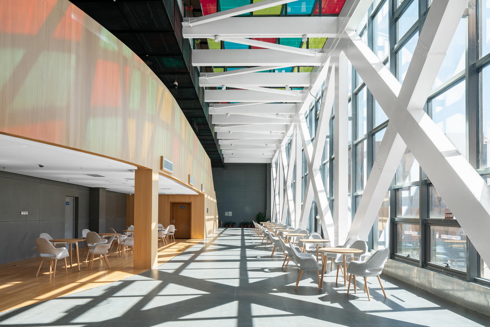 BIM建筑|漂浮于湿地之上的候鸟之巢——中国怀来湿地博物馆/天友设计