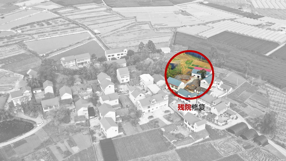 BIM建筑|成都金堂圆觉寺村村民中心 / 在行建筑