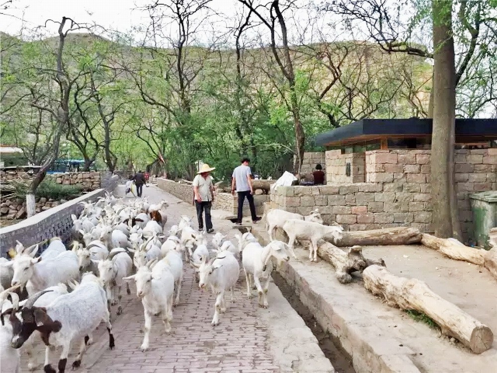 BIM建筑|观点访谈 | 如何在中国乡村，上一个有尊严的厕所？