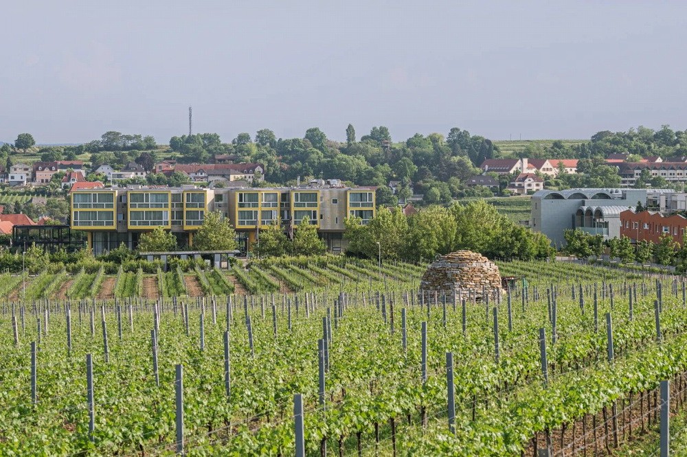 BIM建筑|奥地利罗仙姆酒店扩建/斯蒂文·霍尔事务所