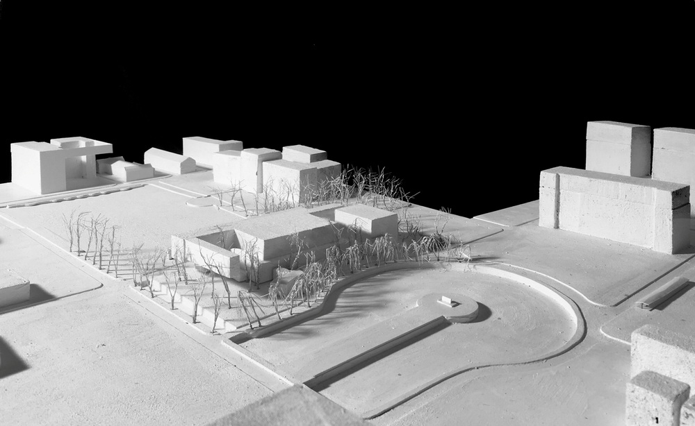 BIM建筑|南开大学海冰楼/直向建筑