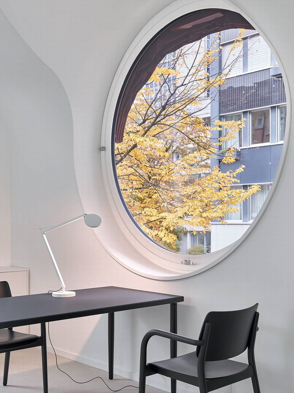 BIM建筑|优雅地老去：苏黎世老年人活动中心 / Knorr & Pürckhauer Architekten