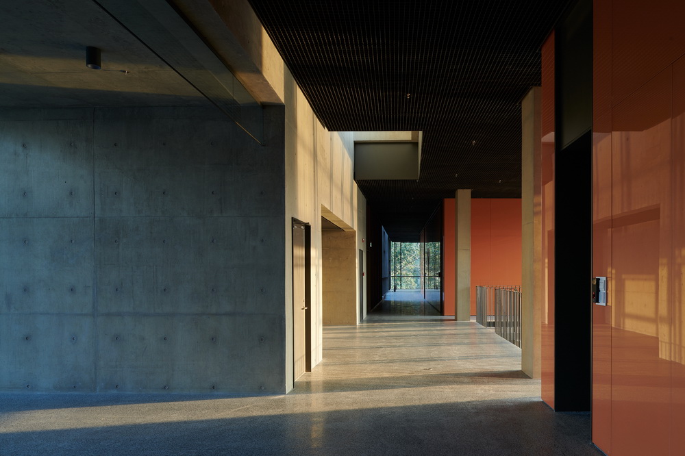 BIM建筑|南开大学海冰楼/直向建筑