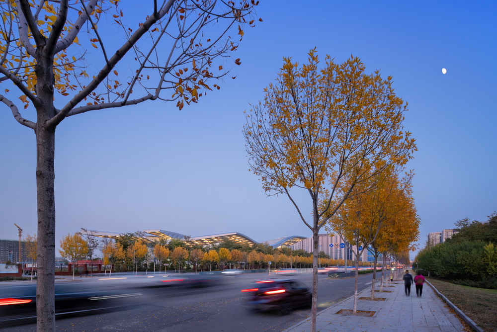 BIM建筑|北京理工大学良乡校区文化体育中心/时境建筑