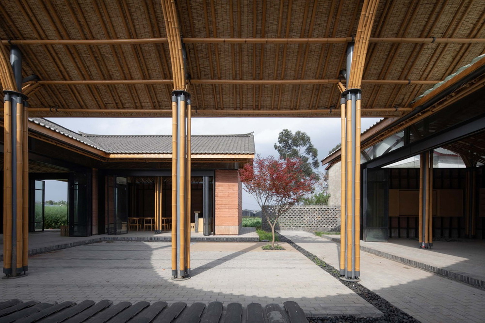 BIM建筑|成都金堂圆觉寺村村民中心 / 在行建筑